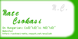 mate csokasi business card